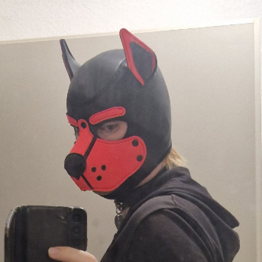 puppy_toy