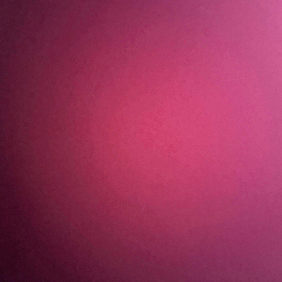 bunnyvanny0808