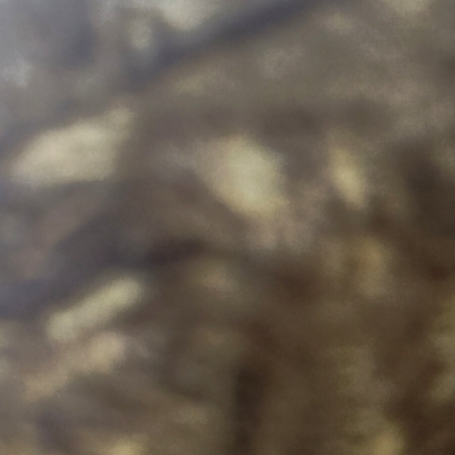 xxxxxxx0101
