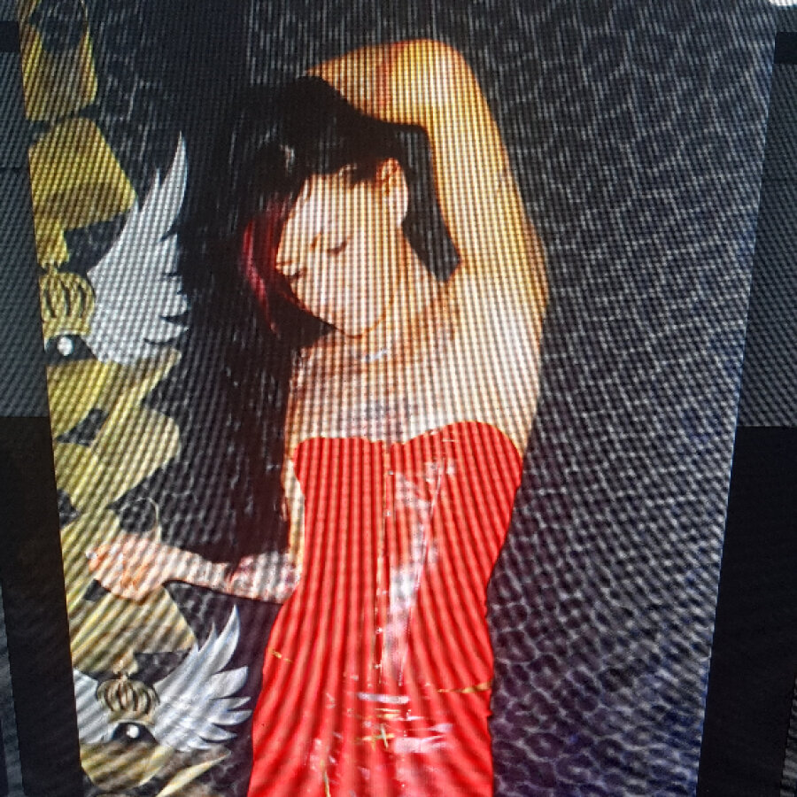 cataleya666