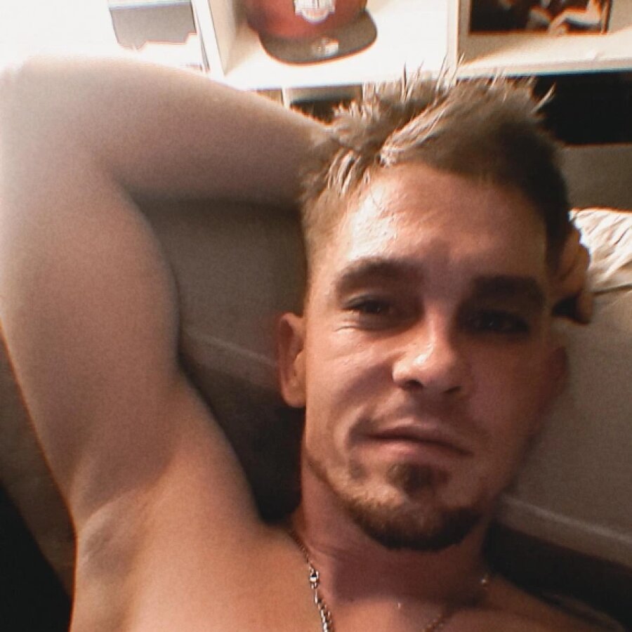 schmidti_