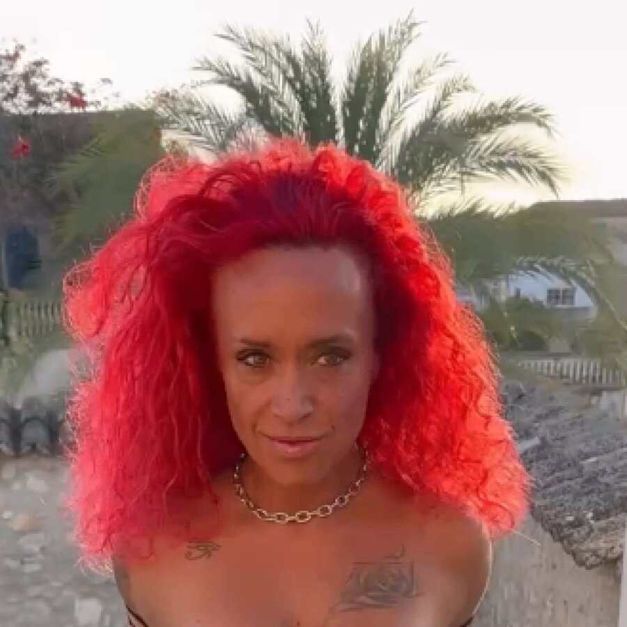 xeniabrasil