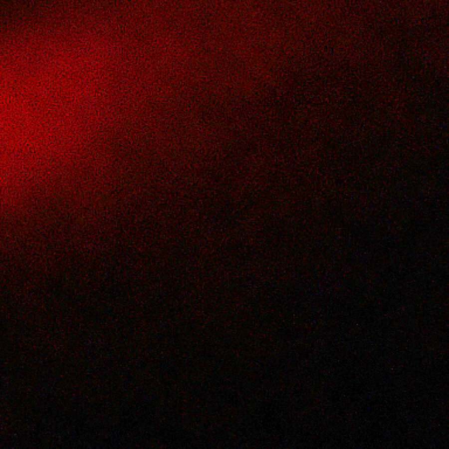 black.fox
